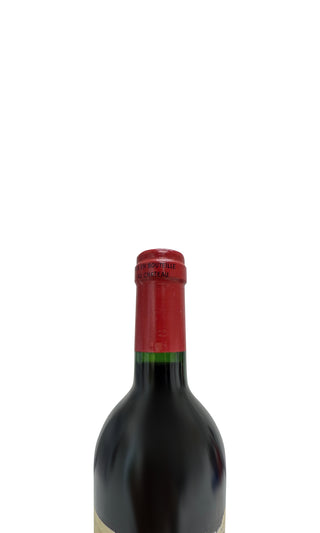 Château Magdelaine 1998 - Château Magdelaine - Vintage Grapes GmbH