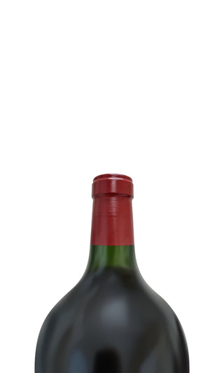 Château Mouton Rothschild Doppelmagnum 1er OWC 2020 - Château Mouton Rothschild - Vintage Grapes GmbH
