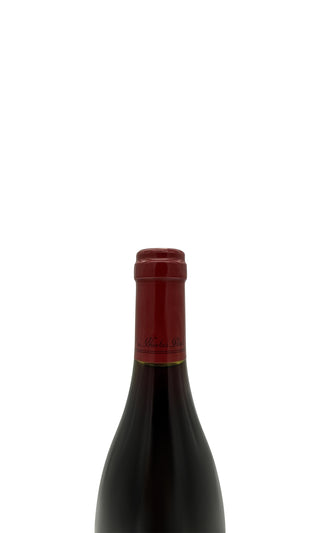 Savigny Les Beaune Vieilles Vigne 1999 - Nicolas Potel - Vintage Grapes GmbH