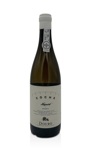 Coche 2024