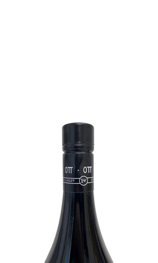 Grüner Veltliner Ried Stein Erste Lage Magnum 2017 - Weingut Bernhard Ott - Vintage Grapes GmbH