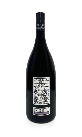 Grüner Veltliner Ried Stein Erste Lage Magnum 2017