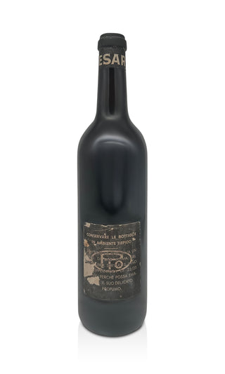 Nebbiolo d'Alba 1964