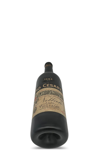 Nebbiolo d'Alba 1964