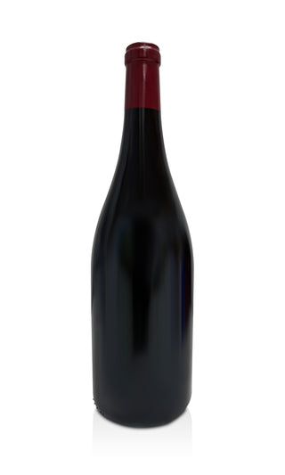 Chassagne Montrachet Rouge 1er Cru Magnum Clos Saint Jean 2017