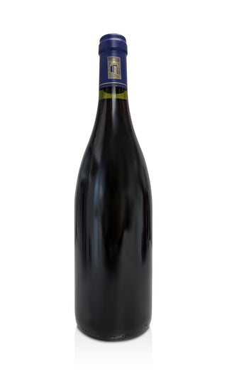 Les Lézardes 1996