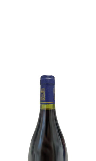 Les Lézardes 1996