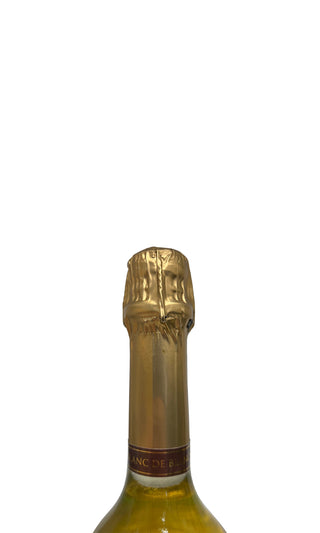Blanc de Blancs Champagne Brut Magnum - Ruinart - Vintage Grapes GmbH