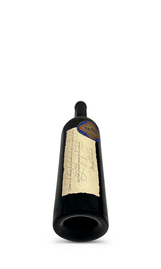 Aconcagua Valley 2016