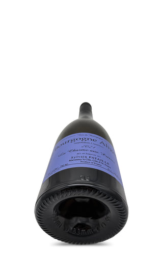 Bourgogne Aligoté Charme aux Pretres 2021