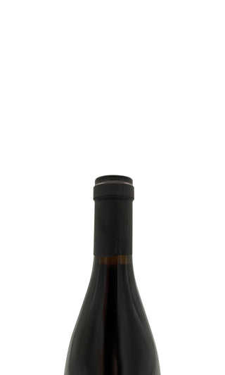 Marsannay La Montagne 2022 - Domaine Sylvain Pataille - Vintage Grapes GmbH