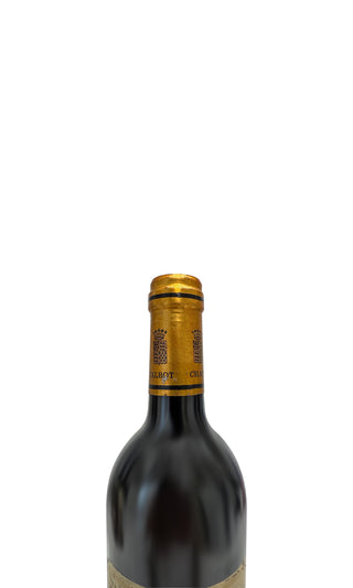 Château Talbot 1995 - Château Talbot - Vintage Grapes GmbH