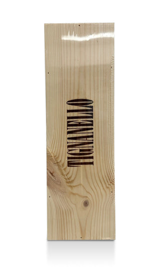 Tignanello Magnum 2019
