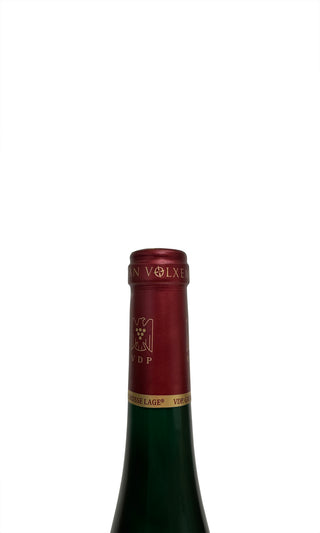 Scharzhofberger Pergentsknopp Riesling Großes Gewächs 2022 - Van Volxem - Vintage Grapes GmbH