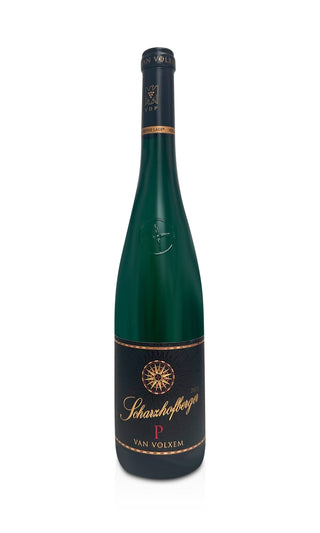 Scharzhofberger Pergentsknopp Riesling Großes Gewächs 2023