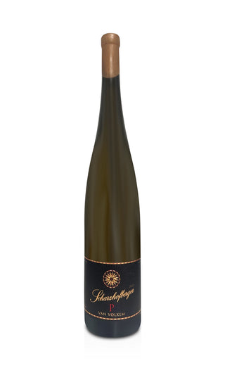 Scharzhofberger Pergentsknopp Riesling Großes Gewächs Magnum 2023