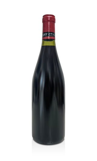 Musigny Grand Cru 1993 - Domaine Comte Georges de Vogüé - Vintage Grapes GmbH