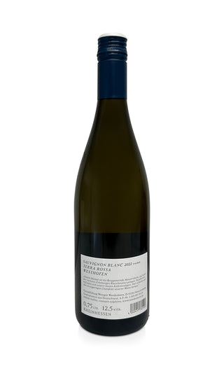 Sauvignon Blanc "Terra Rossa" Westhofen 2022